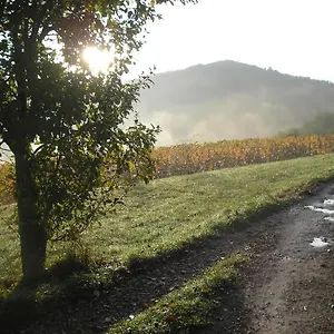 https://grange-rnove-en-pleine-nature.midi-pyreneeshotels.com